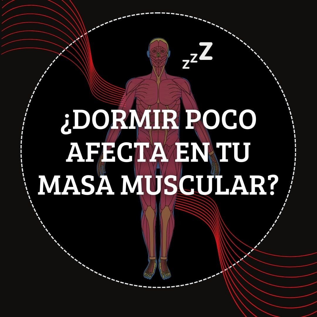 ¿Dormir poco afecta en tu masa muscular?